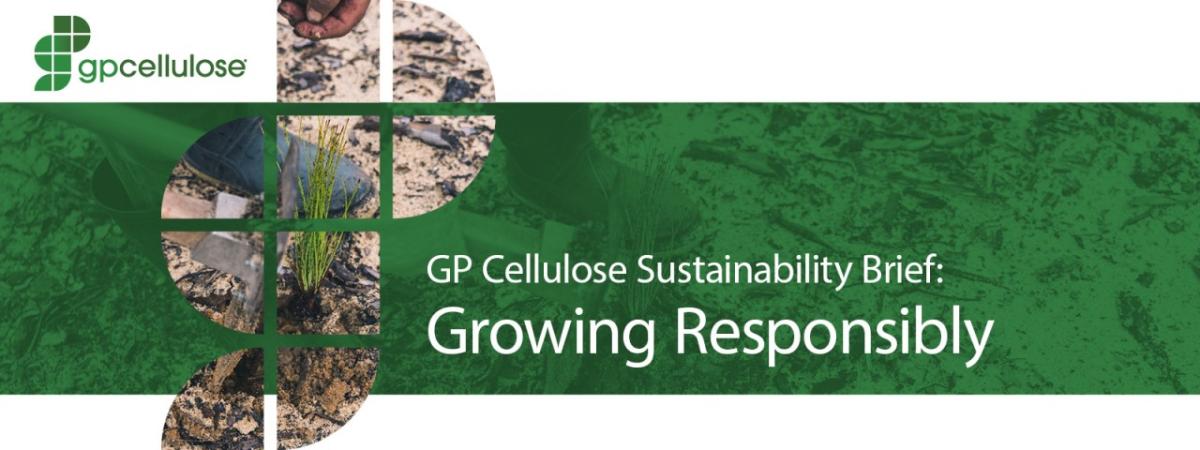 gpcellulose logo and "GP Cellulose Sustainability Brief: Growing Responsibly"