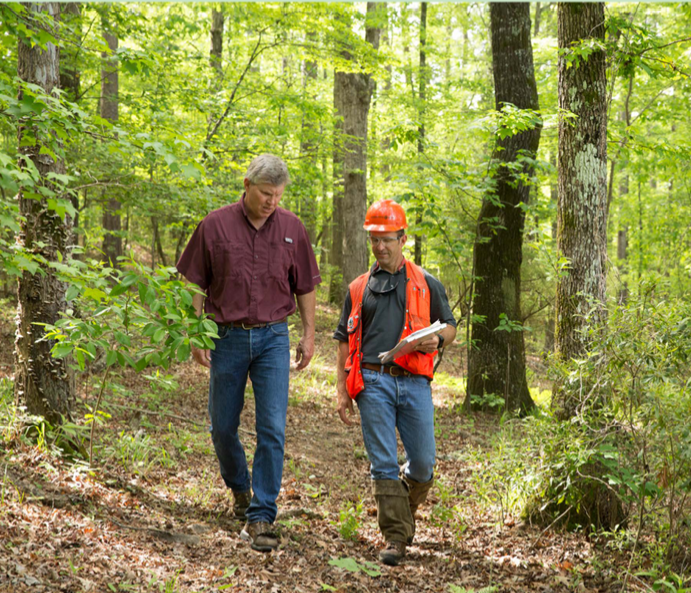 Two people walking in a forest. One carrying a clipboard and wearing high-visibility protective gear