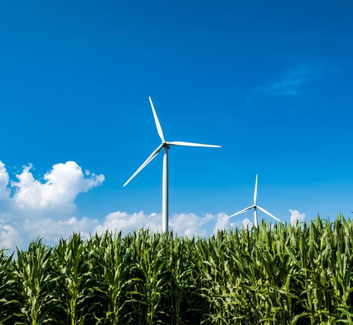 wind turbine over field