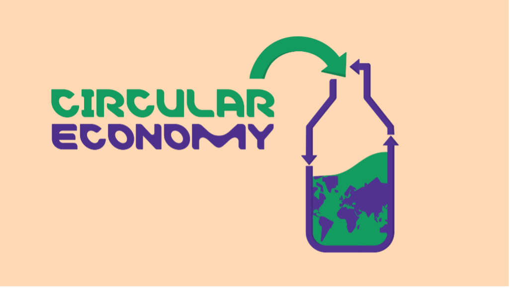 circlular economy pointing to a recycled bottle