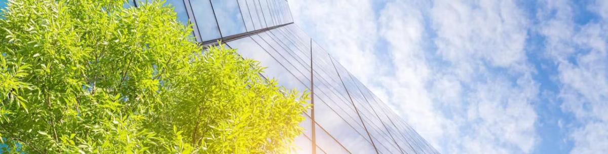 Looking up the side of a city building towards the sky, with a tree in front on the building 