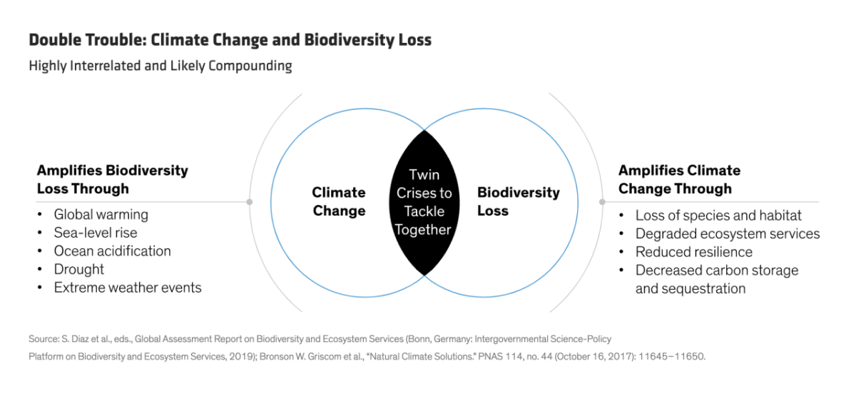 Double Trouble: Climate Change and Biodiversity Loss Infographic 