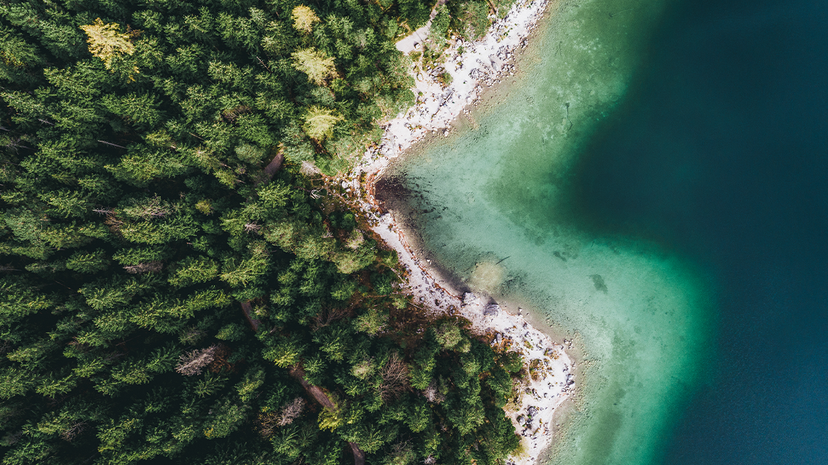 Overhead view of a beach and forest.