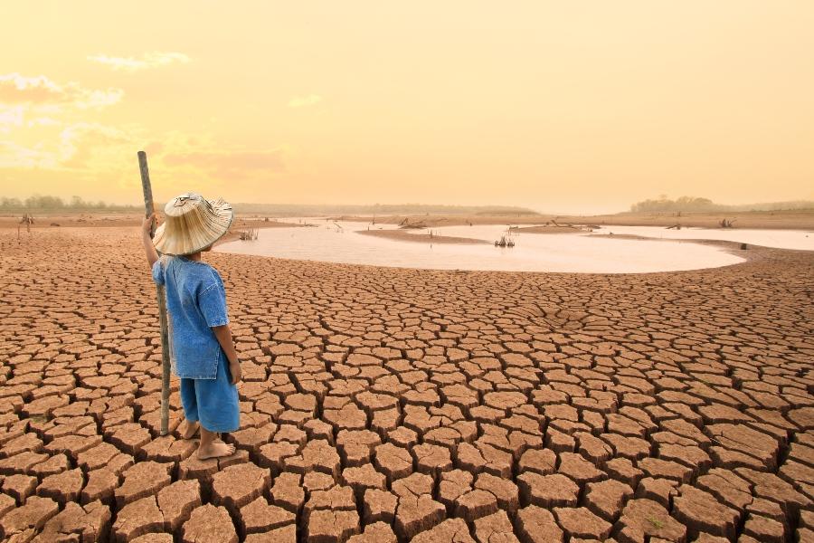 Person standing in desert