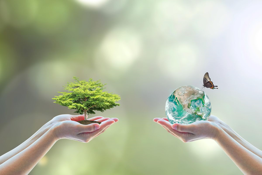 Image courtesy of Accountancy Daily