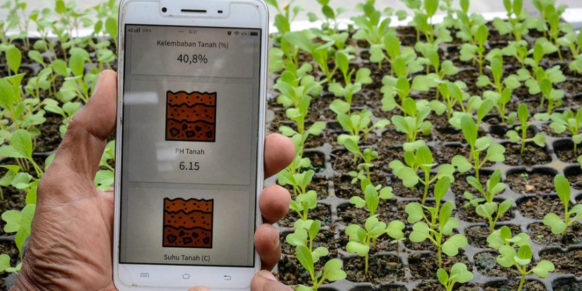A person holding a cellphone open to an app with PH levels showing. Rows of seedlings behind them.