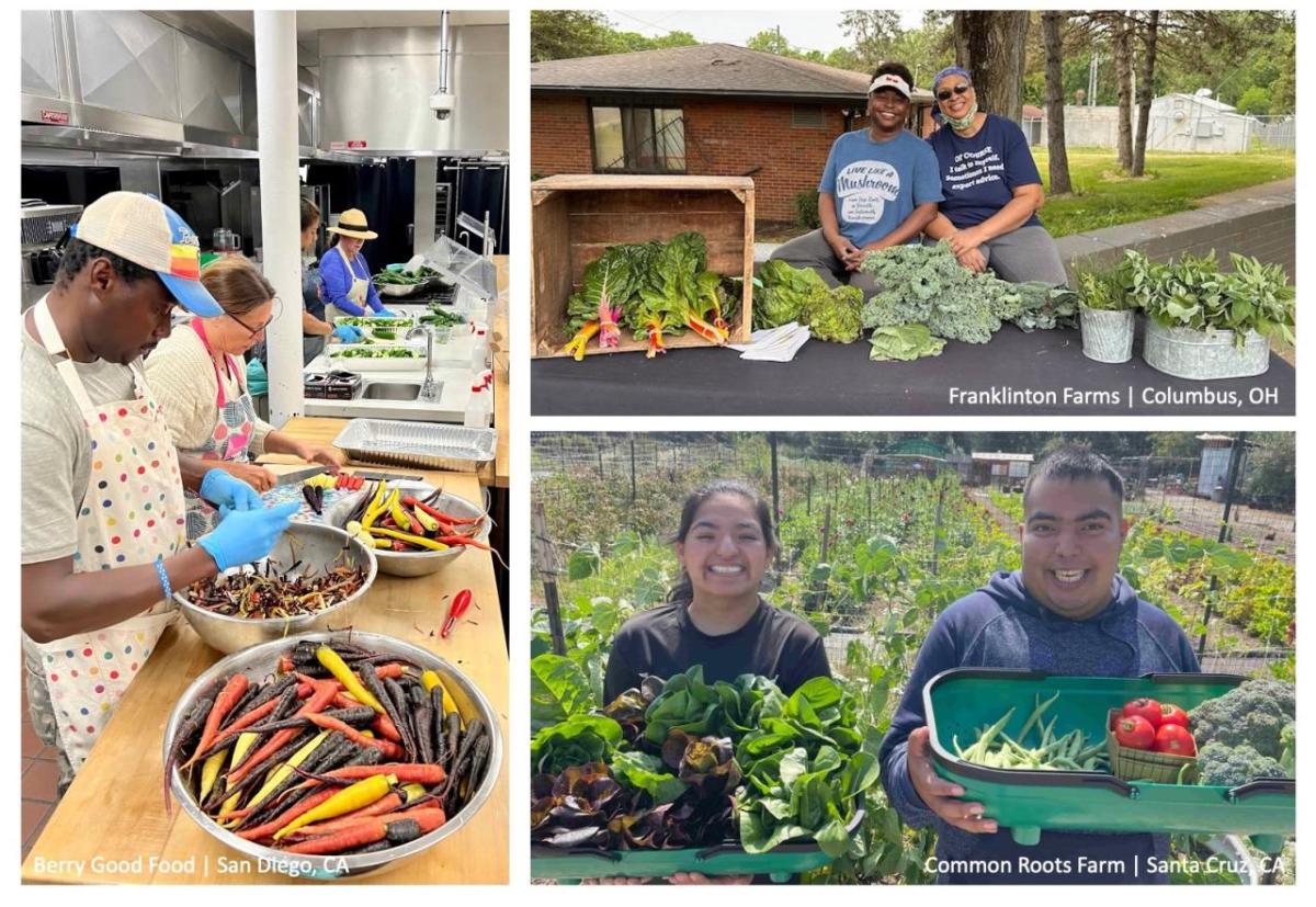 collage of Community First grant awardees displaying their food