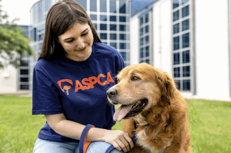 Image courtesy of Engage for Good person with dog