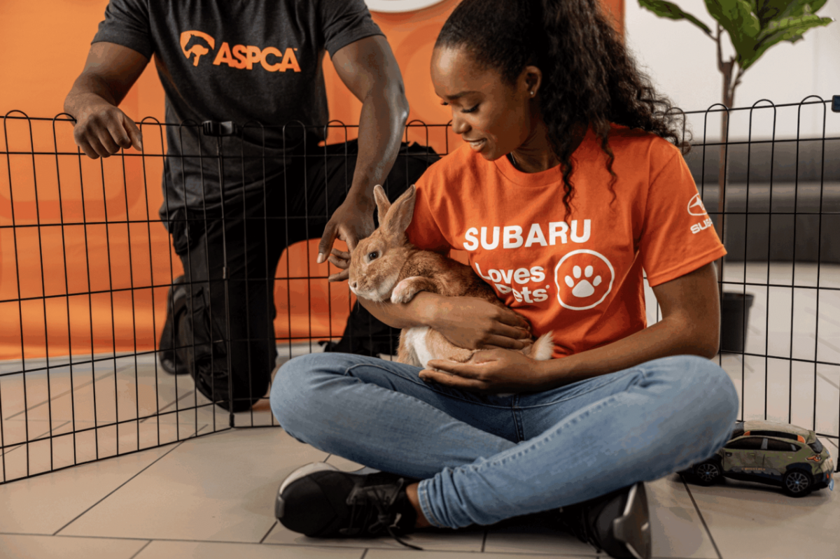 Image courtesy of Engage for Good person holding rabbit