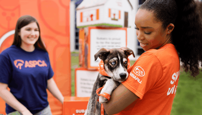 Image courtesy of Engage for Good person holding a dog