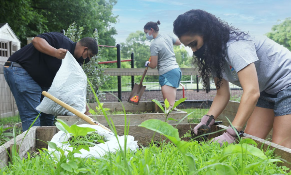 People working in raised planters outside.