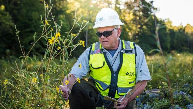Duke Energy worker in hard hat examining flowering plant