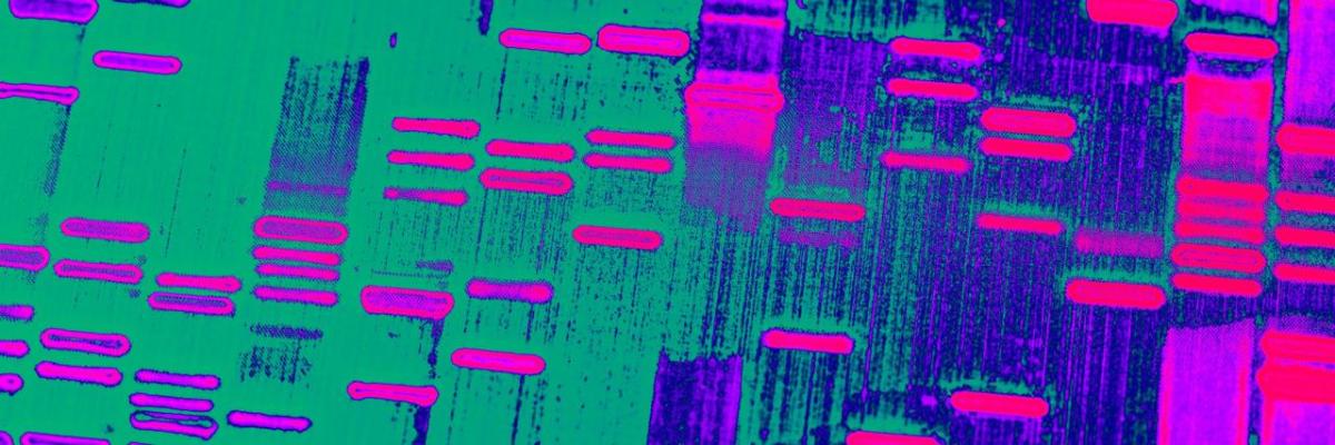 stylized image of DNA sequencing