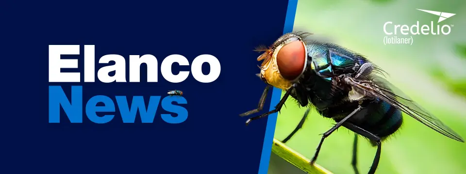 Elanco News: Credelio