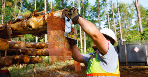 person cutting wood