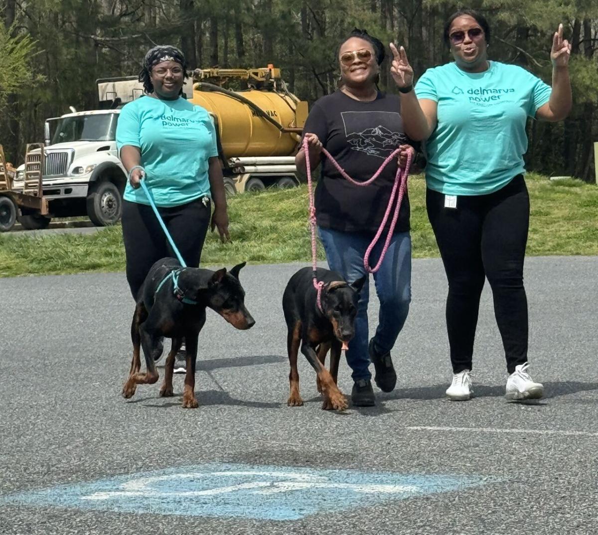 Volunteers walking two dogs.