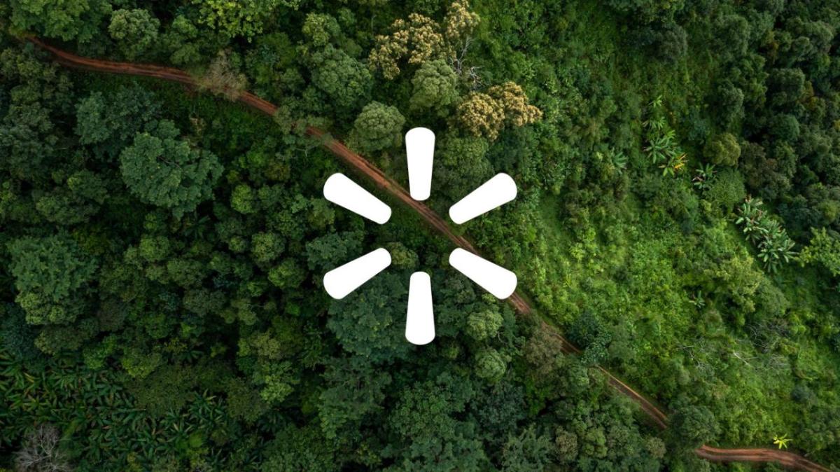 white Walmart logo on top of a forest background