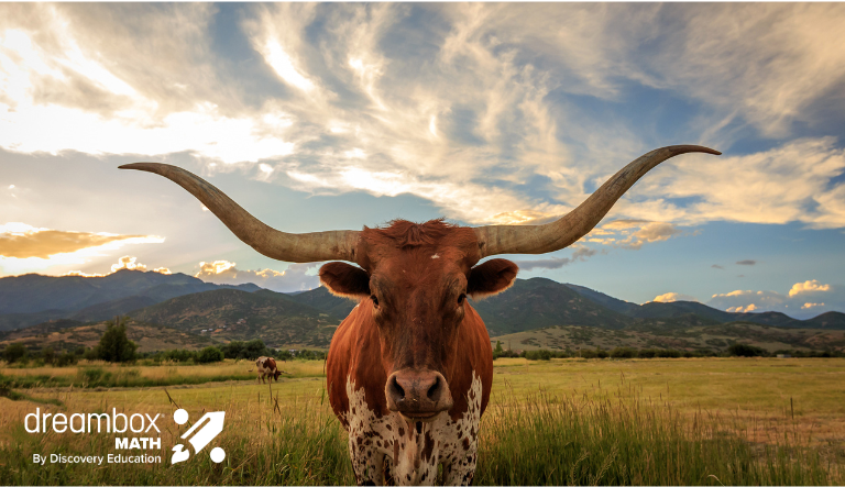 Texas Longhorn bull with "dreambox math" logo overlaid