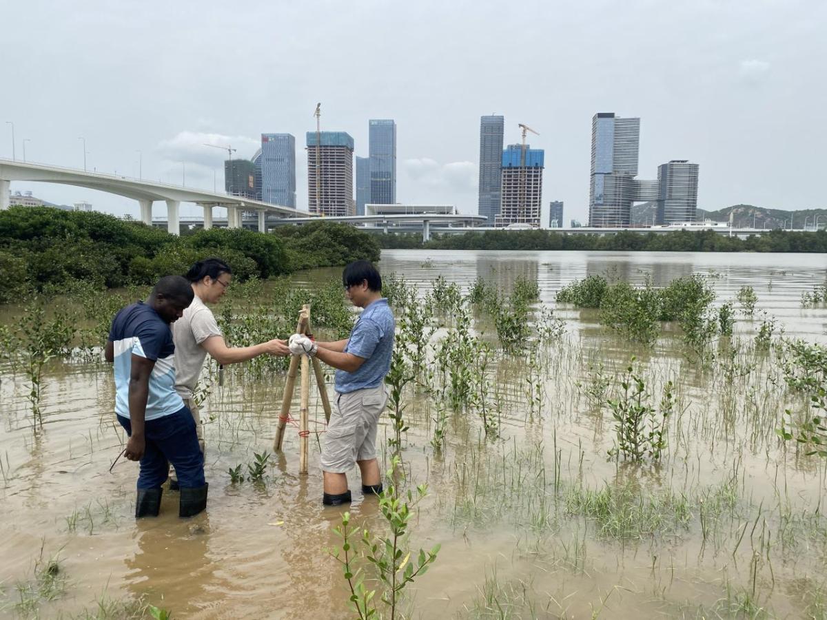 Three people standing in marshland