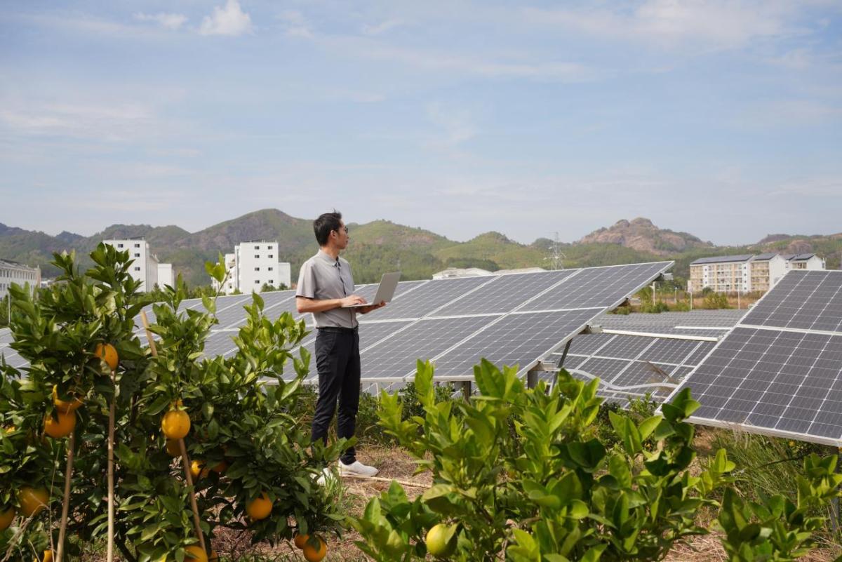 person and an array of solar panels