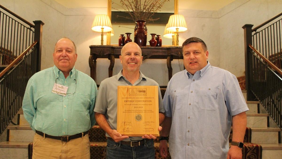 Ken Bradshaw, Chad Eschete and Keith Smallwood, members of Entergy's eTech team, discussed Entergy's ongoing sustainability activities at last year’s Rice Stewardship Partnership Summit. Three people on a staircase, one holds a plaque