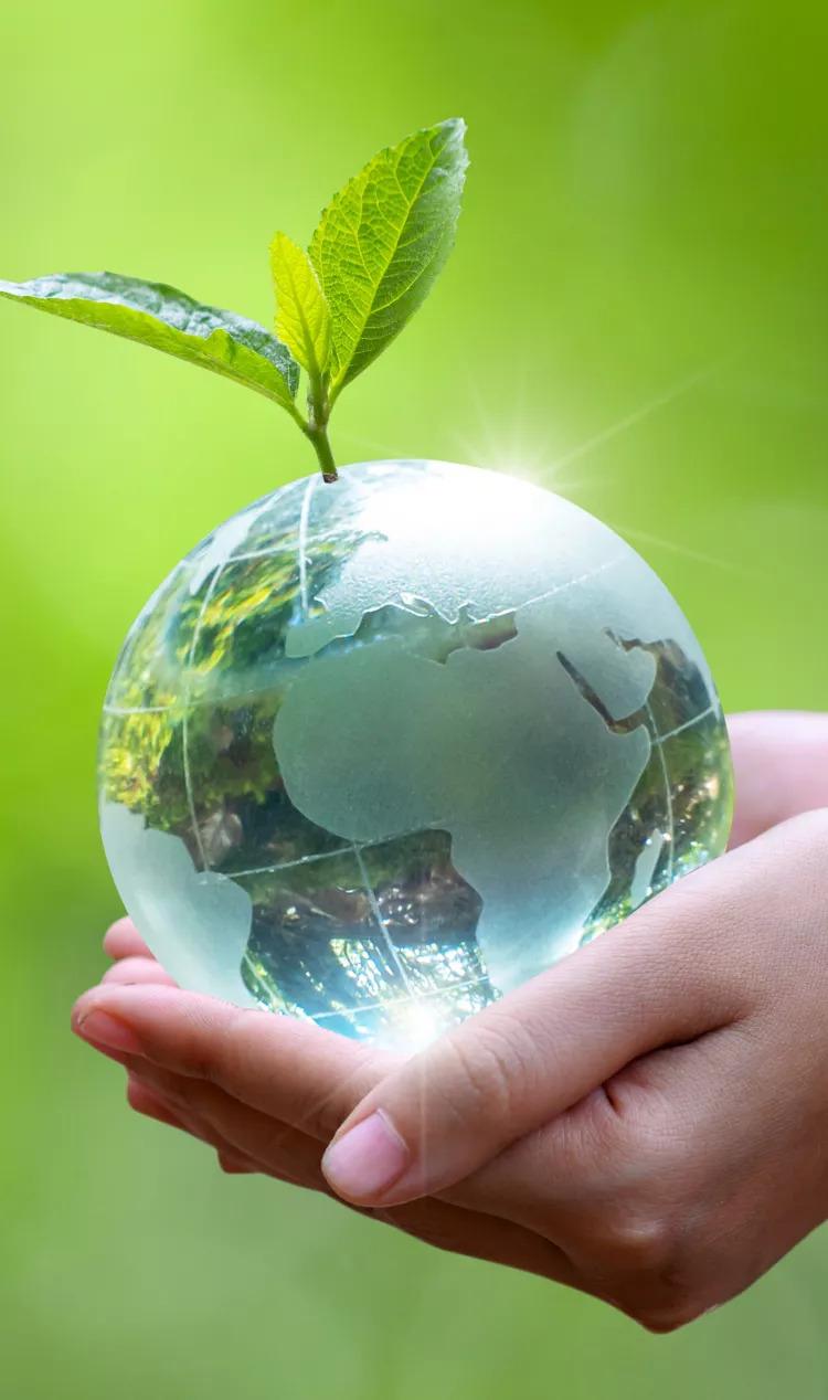 Two hands holding a crystal globe. Green leaves sprouting from the top.