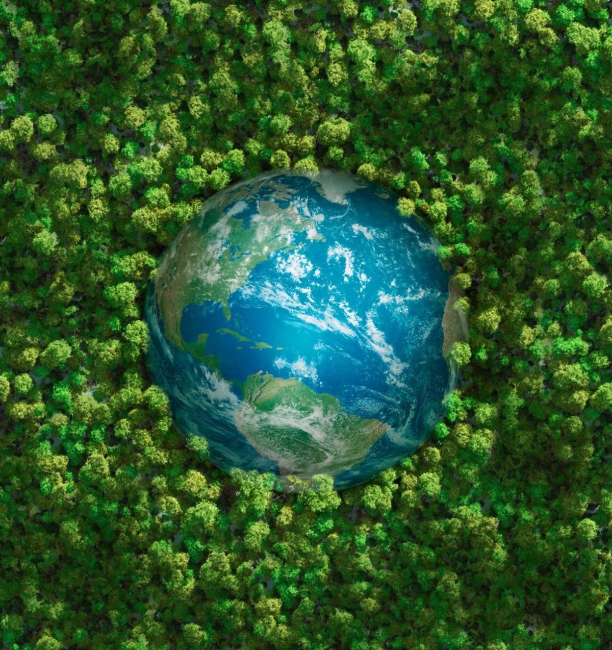 globe surrounded by trees