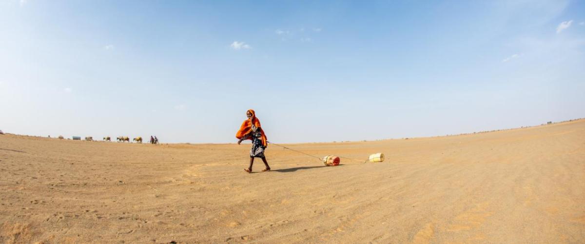 El Nino will lead to dry, hot temperatures for many regions. 