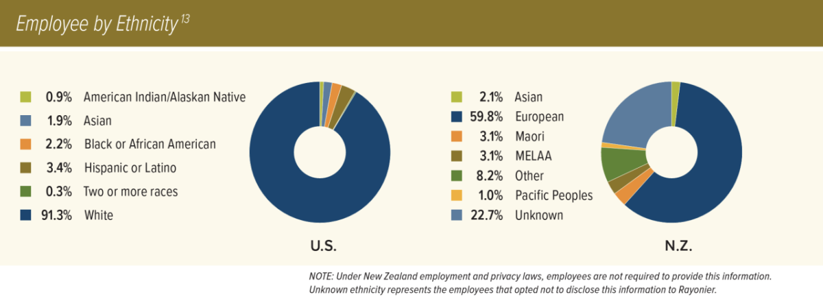 Employee by Ethnicity infographic