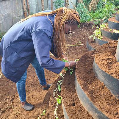 Fikia Dada, person planting plants