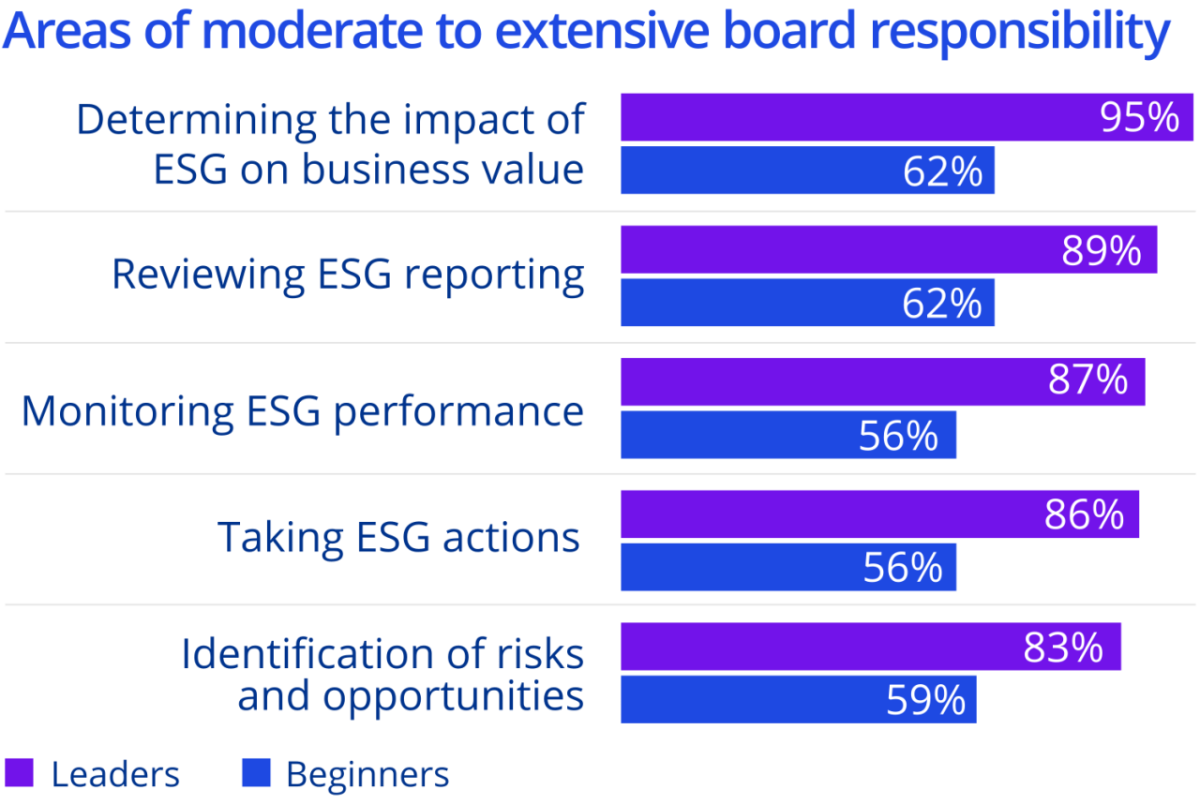 Chart: Areas of moderate to extensive board responsibility