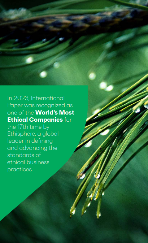 Close up of pine needles. "In 2023 International Paper was recognized as one of the World's Most Ethical Companies."