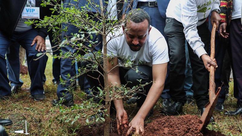 Image Credit: The Office of the Prime Minister of Ethiopia