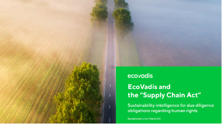 EcoVadis and the "Supply Chain Act"; Sustainability intelligence for due diligence obligations regarding human rights. Photo is of an overhead shot of a field with a road next to it. The fog is just lifting off of the field and the road.