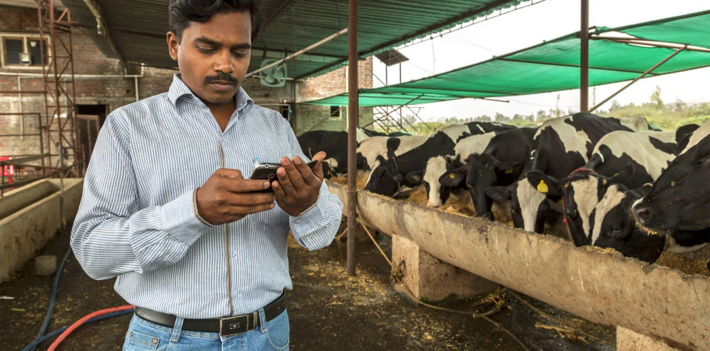 Person uses smart phone on farm
