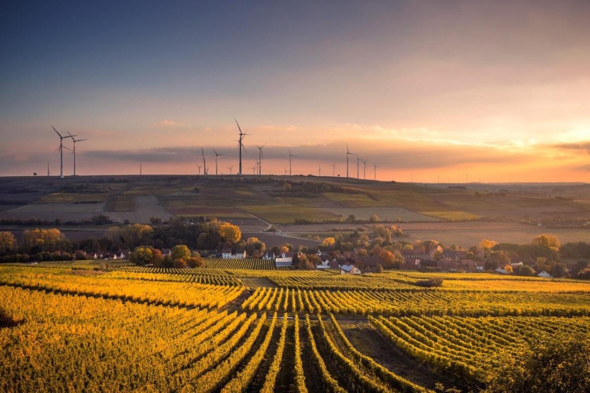 Landscape with farm fields in the foreground. Wind turbines stand on distant hills while the sun sets over the vista.