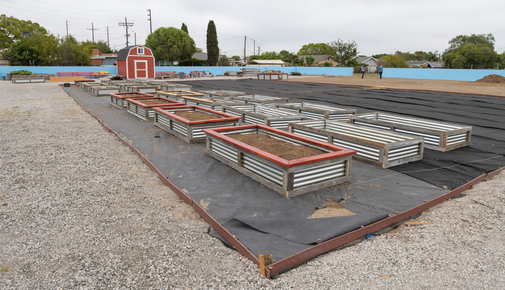 three rows of raised planting beds under construction