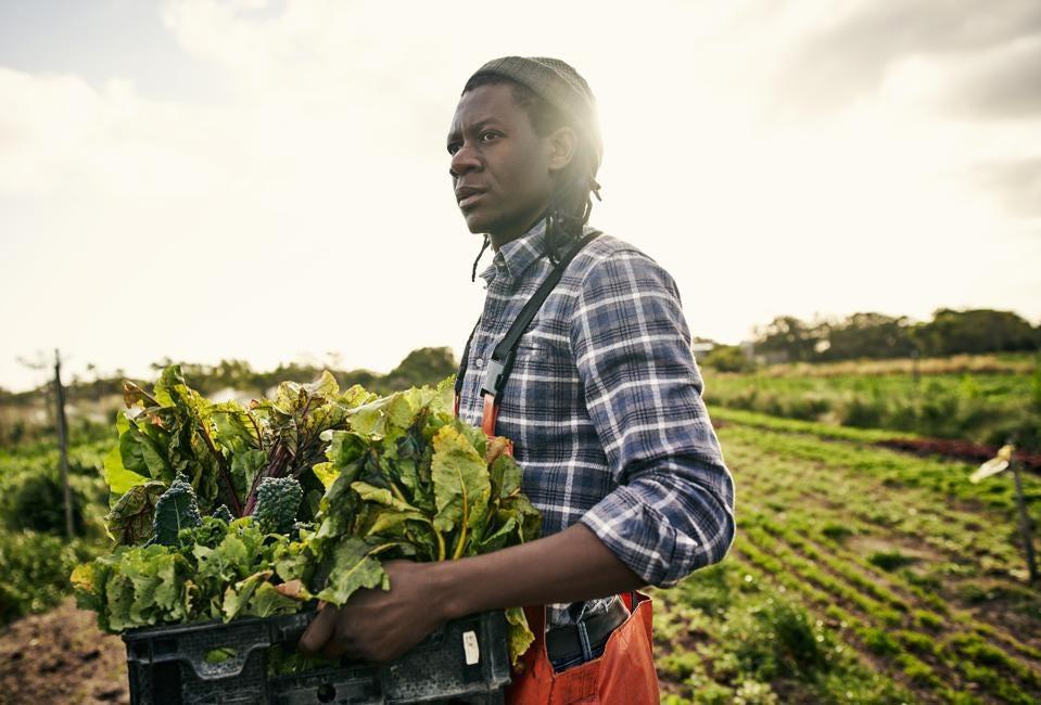 Sustainable business in Southern Africa is centered around innovations to alleviate poverty and build a more inclusive society with educated and employable people who can participate in a digital world with expanded business opportunities. GETTY A farmer carrying a tray of greens in a large field