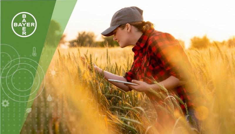 a person inspecting crops, a device in their left hand. Bayer logo in the corner.