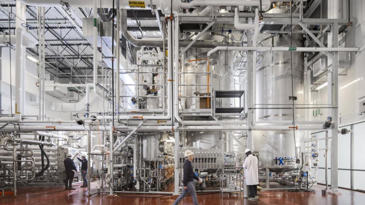 Pictured: Manufacturing operations at Meati, a Colorado-based producer of an alternative protein made from mushroom root. Meati’s proprietary process is rapid and yields as much “meat” as five cows – in just three days. " "