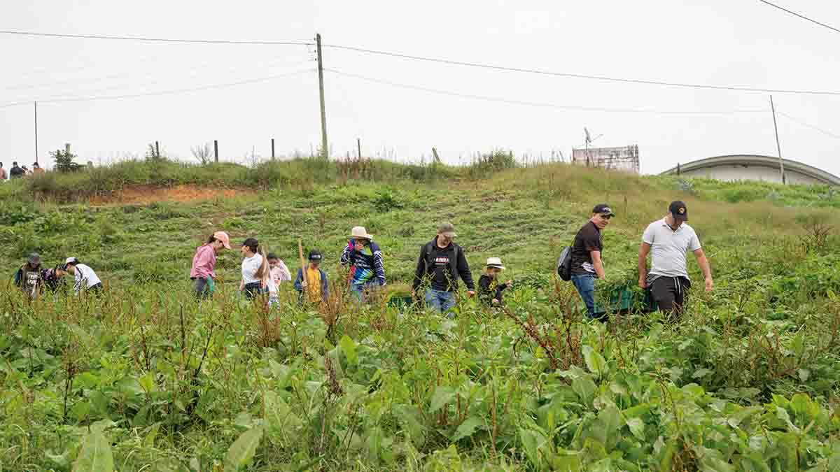 People walking through a field