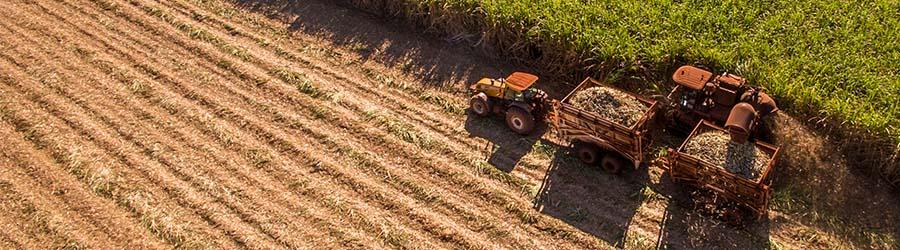 crop being harvested