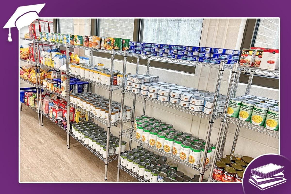 Shelves of stocked pantry food items.