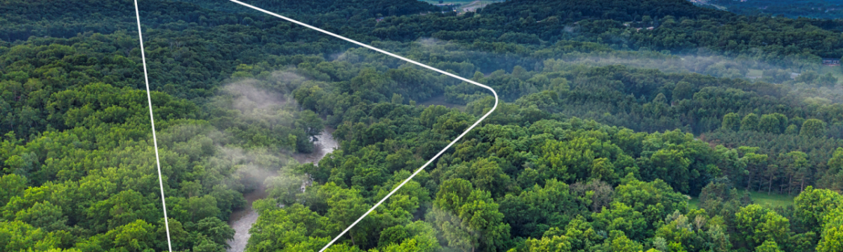 Aerial view of a dense forest with fog interspersed. 