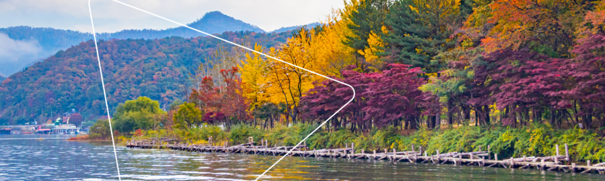 Lush fall landscape of a forested and mountainous area next to a calm river.