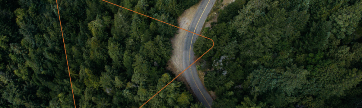aerial view of a road through dense forest