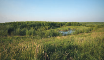 Open landscape of grasslands and a pond.