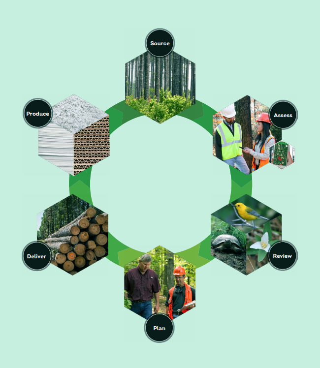 Info graphic circle with different photos for categories: Source, Assess, Review, Plan, Deliver, Produce