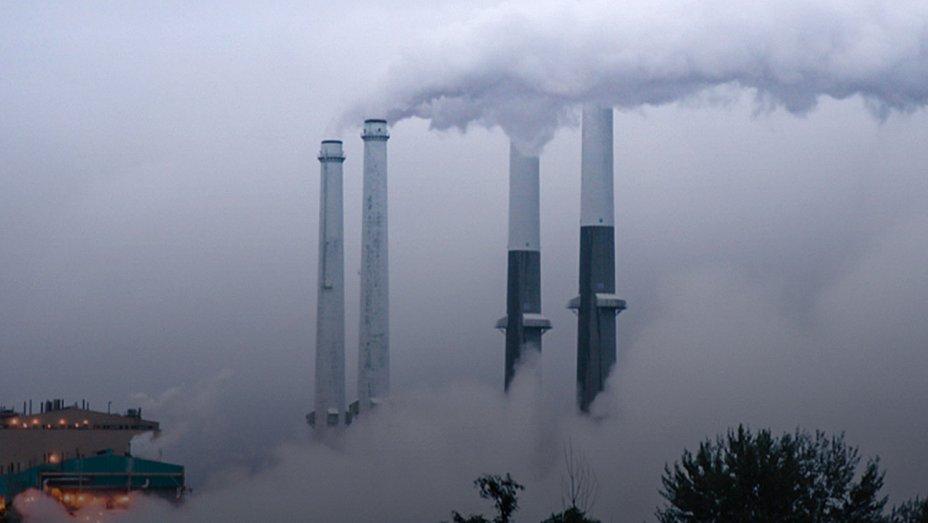 'From the Ashes' - Courtesy of National Geographic