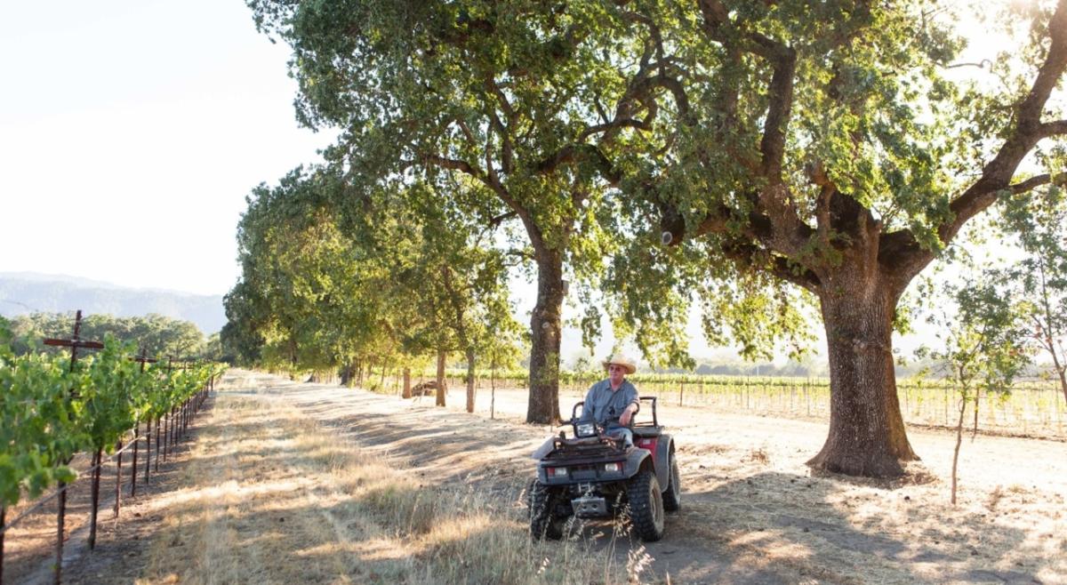 Tom Gamble on a 4-wheeler in his Napa Valley vineyard